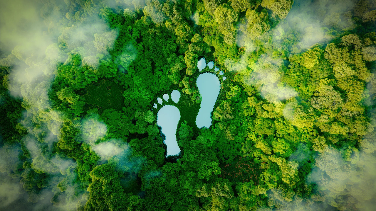 how to reduce carbon footprint