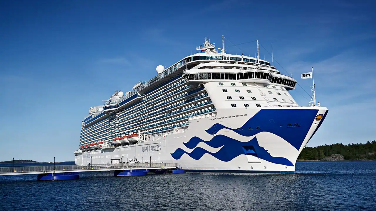 A Princess cruise ship on the beautiful sea