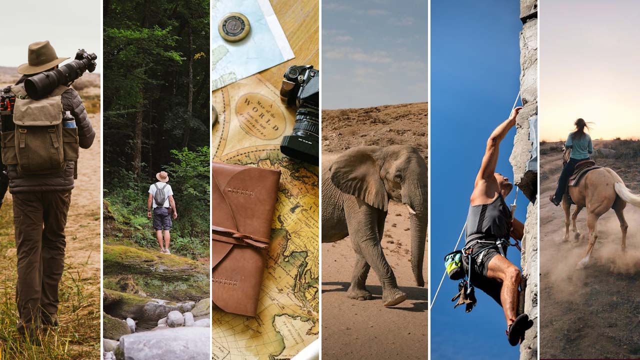 From travel to sports and nature we cover all
