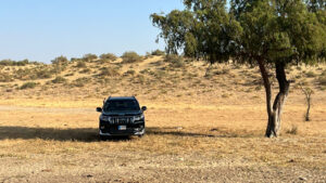 I brought this vehicle on the ground of safari to explore the whole place and not just the path
