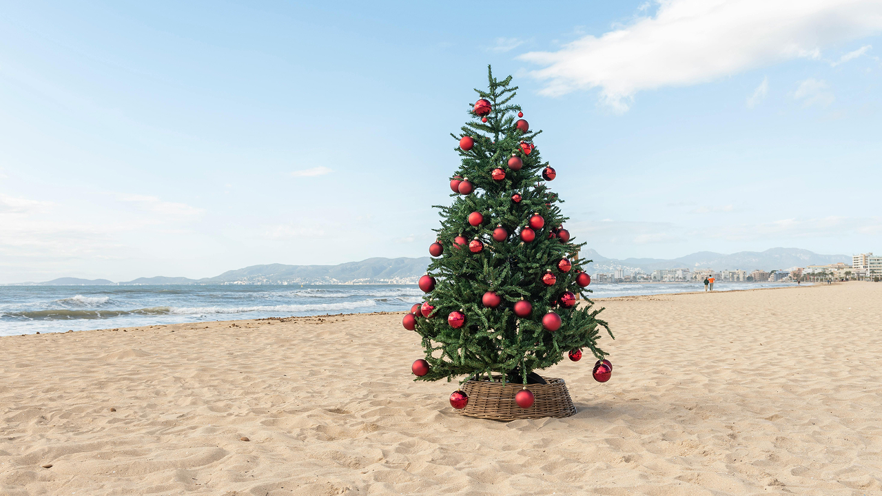 Festive christmas tree on a Dubai beach