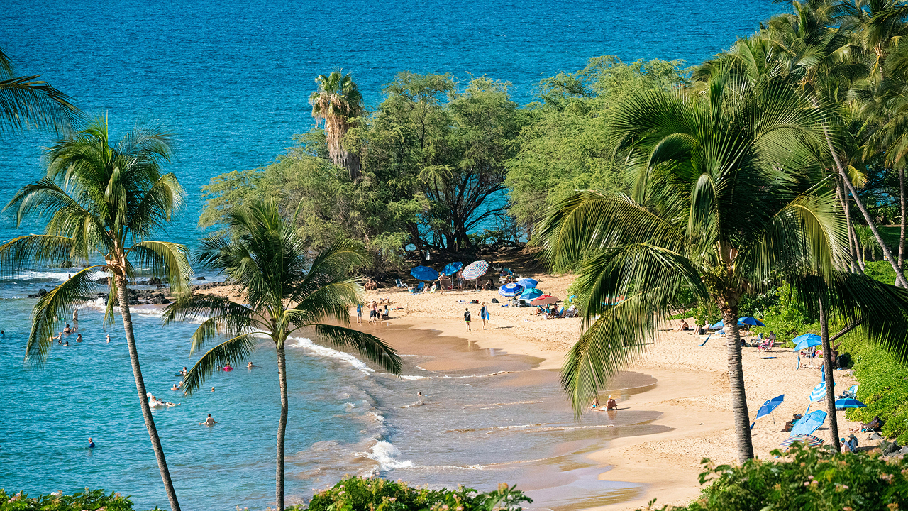 View of a beautiful tropical Hawaii beach