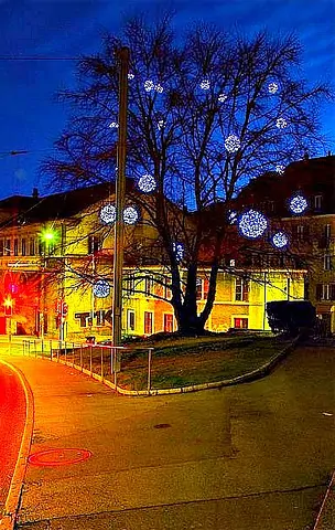 Van-Gogh-tree-in-Neuchâtel