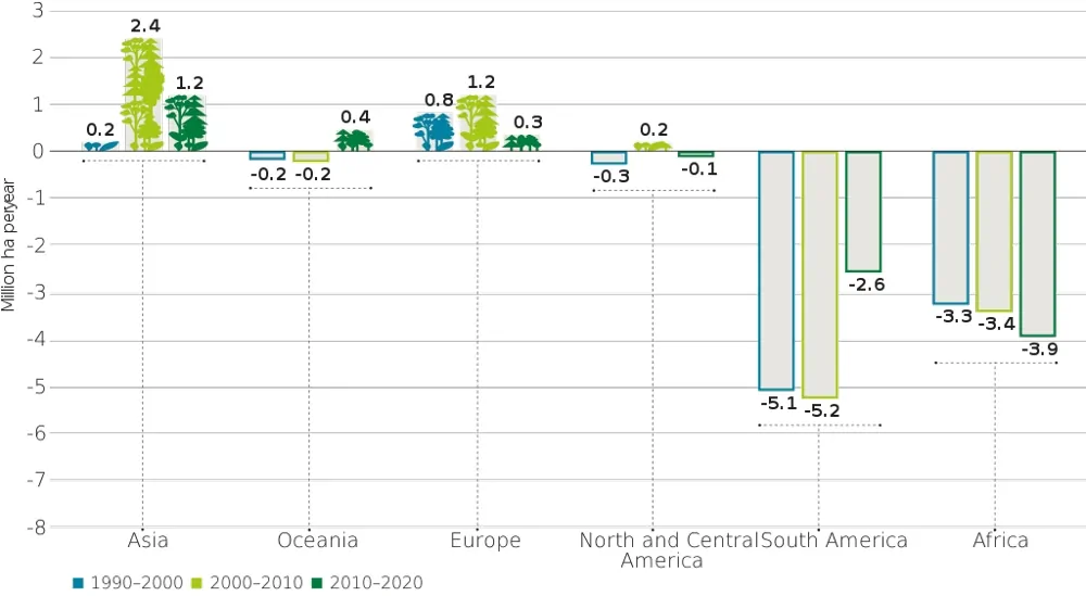 Annual Forest Area By Decade and Region