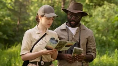 What Not to Do on a Safari in Africa