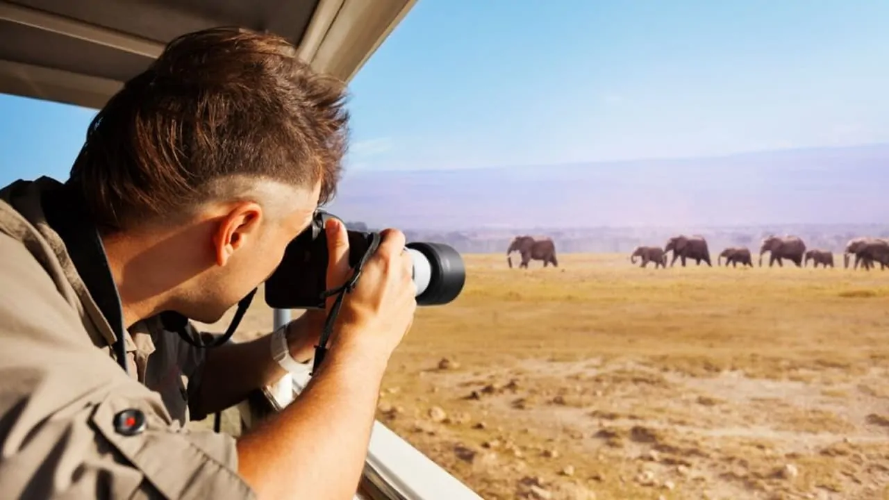 a man capturing photos in wildlife safari