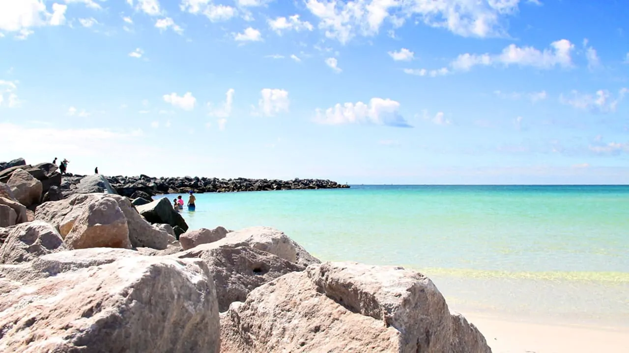 A sunny beachside with beautiful blue water