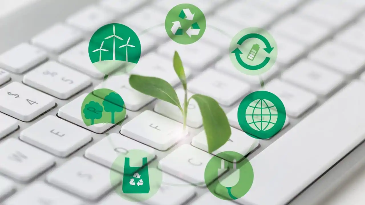 An environmental sign on a keyboard explaining the pros of reforesting