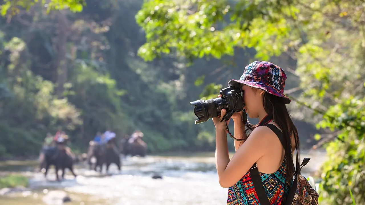 A tourist capturing pictures of wildlife animals following photography tips