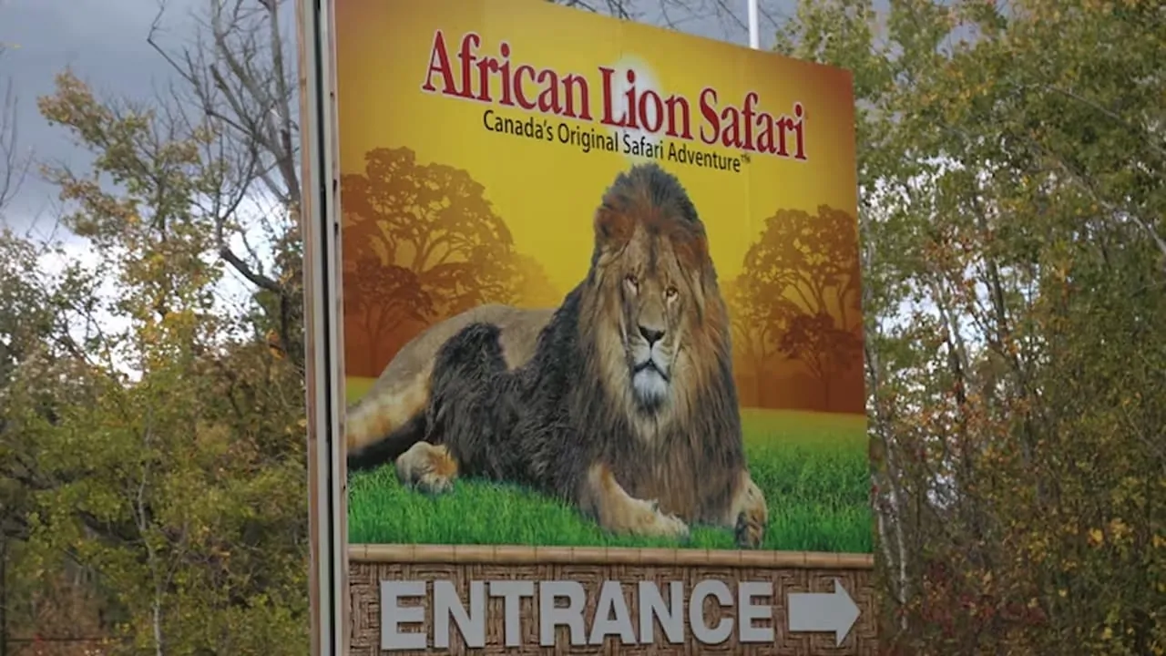 A banner for African Lion Safari