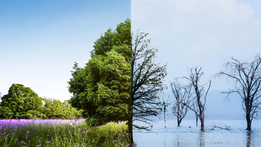 Collage on the concept of climate change