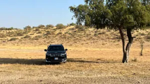 I brought this vehicle on the ground of safari to explore the whole place and not just the path